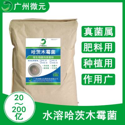 运城市天沃生物肥业有限公司董事长武建康(图1)