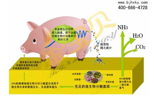 中央一号文件石大师生热议！