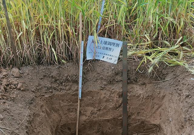 2026第四届SBC合成生物学产业博览会将于南京举行