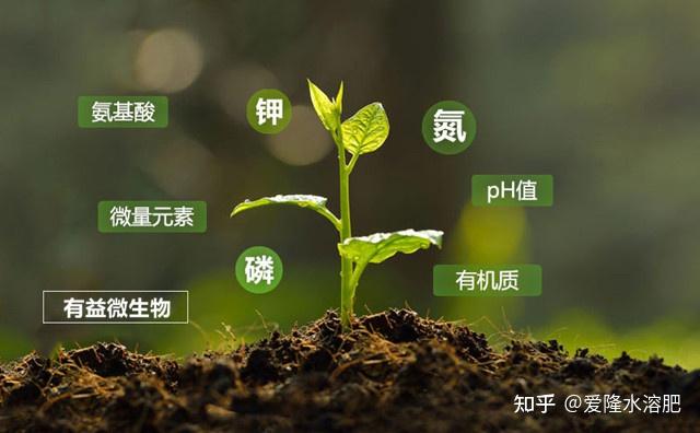 锚定一号文件增收方略王泽铺昆虫产业小院破题共富路