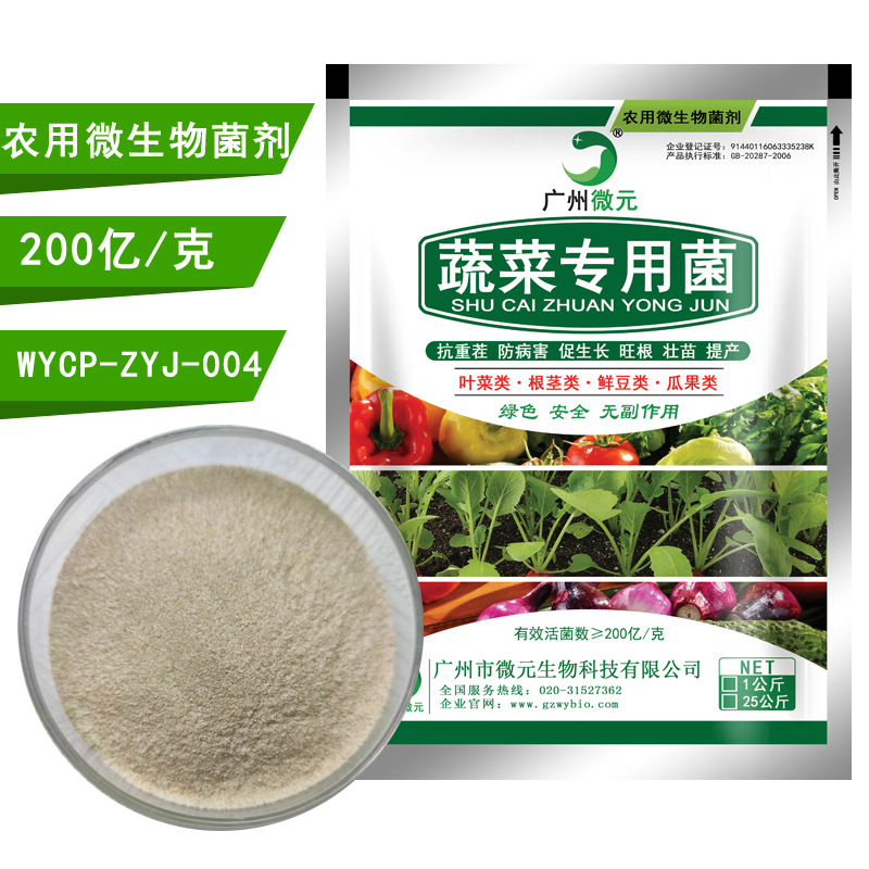 聚焦中央一号文件科技兴农启新程聚力振兴谱新篇（中）