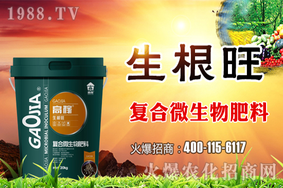 天使投资带来希望几许？(图1)