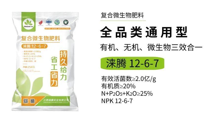 微生物肥是什么有哪些特点如何使用效果更好