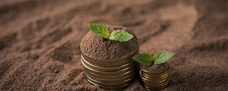 让党旗飘扬在春耕田(图1)