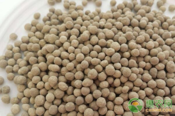 地震了中方通告欧盟立即删除反华条款中国大蒜被列入黑名单(图1)