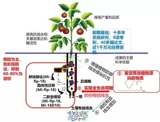 功能性肥料的发展方向与标准化(图1)
