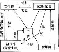 微生物肥料施用注意七大事项(图1)
