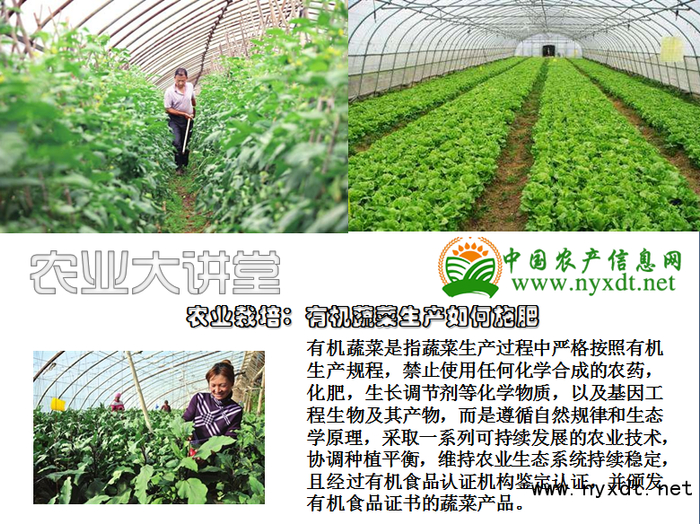 博鳌健康大会工程院院士演讲-罗云波健康中国·大医药产业理论体系(图1)
