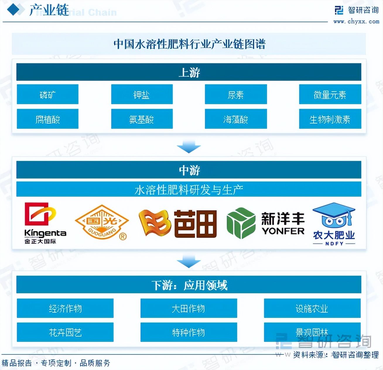 成都新朝阳亮相BiotechVietnam2026面向东南亚市场推出生物刺激素CDMO服务(图1)