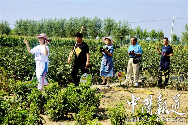 第5章微生物肥料pptx(图1)