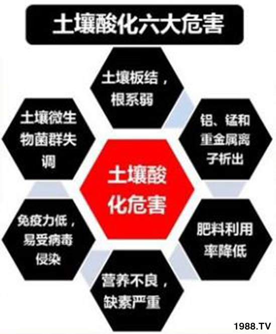【甘快看】这碗“土特产”有望解决“卡脖子”难题