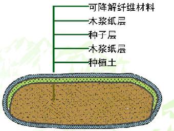 土壤精准培肥林木强身健体(图1)