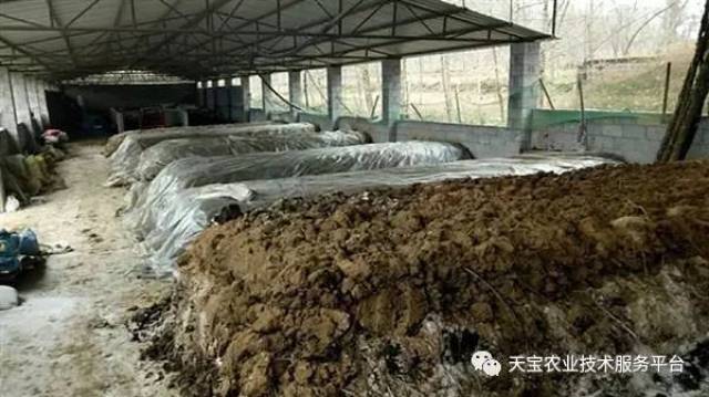 【深读·生态】河州护河有良策(图1)