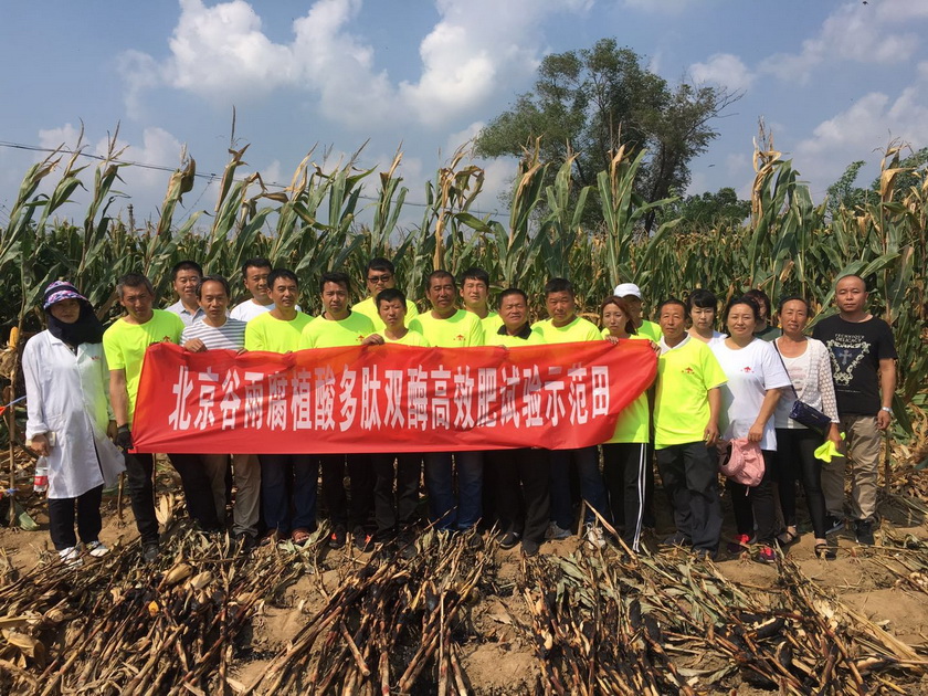 2026年保定生根壮秧肥厂家怎么选?这份选购参考值得收藏(图1)
