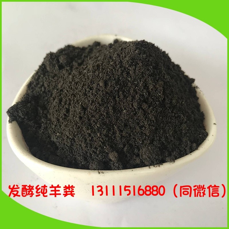 向绿而行：2026年生物能源行业的发展图景与长期价值研判(图1)