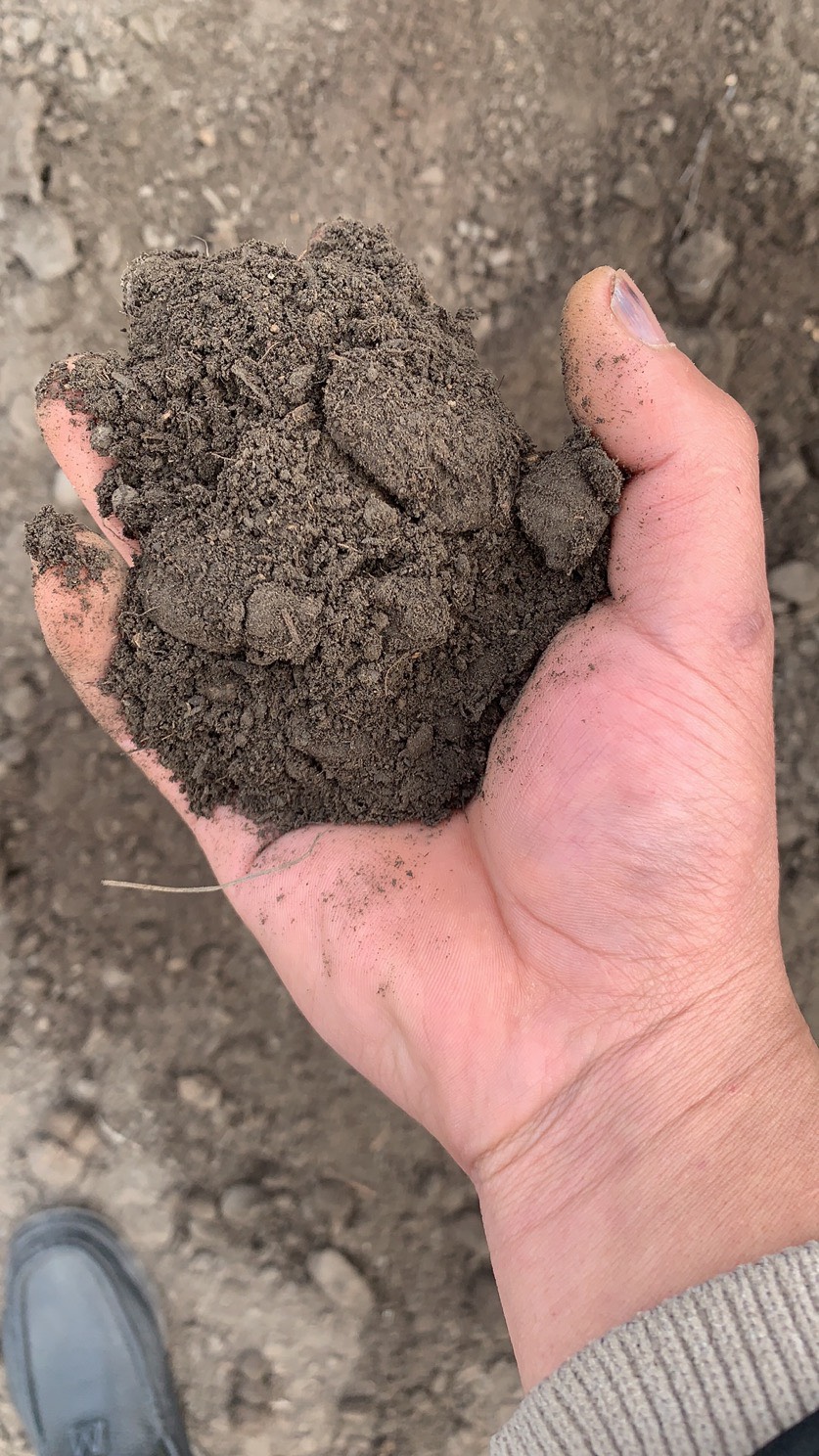 成都盖尔盖司生物科技有限公司_生物有机肥_有机肥生产厂家_菌剂肥_复合微肥经销商(图1)