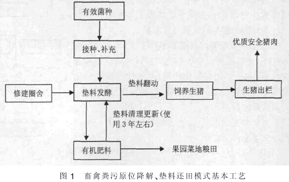微生物肥料改良土壤的原理及应用(图1)